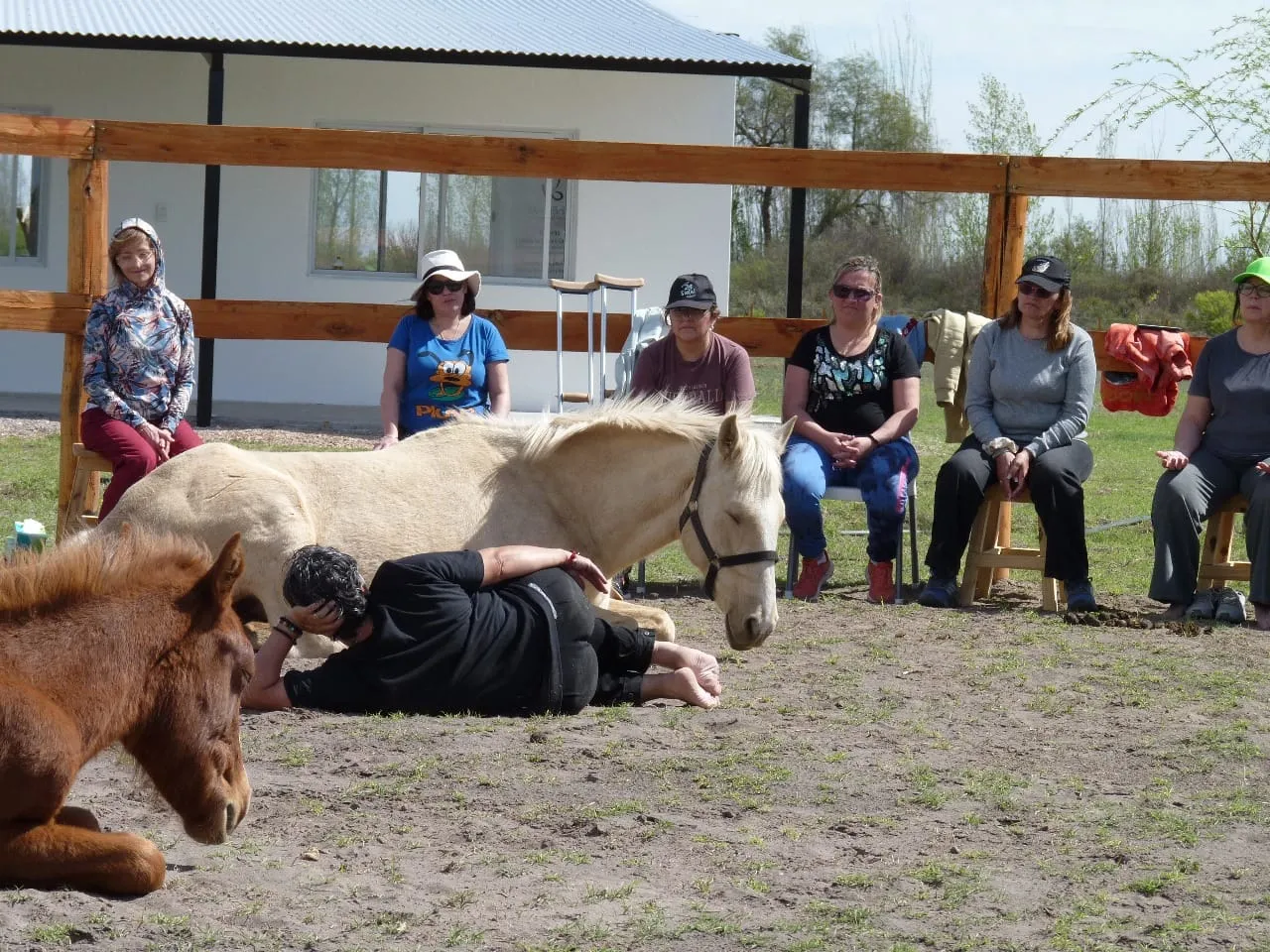 La equinoterapia es una de las herramientas que utiliza la Fundación Elunei en sus actividades terapéuticas.