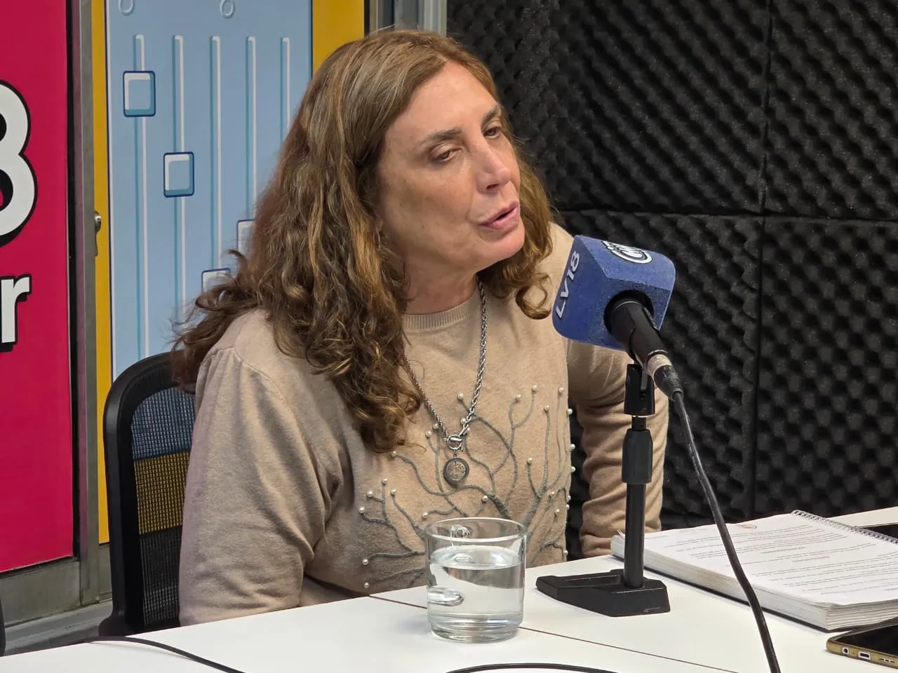 Elizabeth Airaldi, presidenta de Fundación Kainos, explicó en LV18 cómo funciona el programa de rehabilitación y cuáles son sus objetivos. Elizabeth Airaldi, presidenta de Fundación Kainos, explicó en LV18 cómo funciona el programa de rehabilitación y cuáles son sus objetivos.