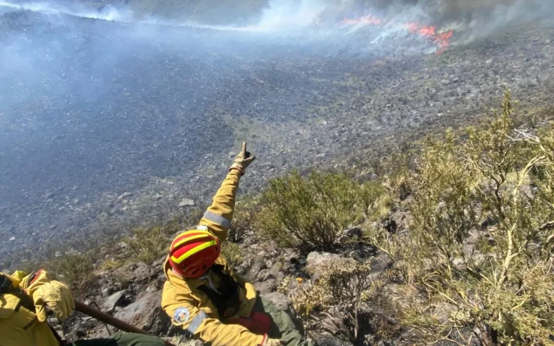 Incendio afectó a 300 hectáreas en la zona del Cerro Nevado