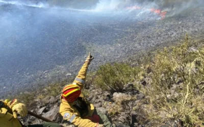 Incendio afectó a 300 hectáreas en la zona del Cerro Nevado