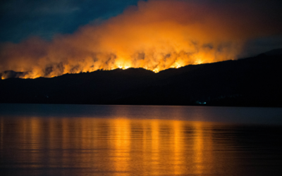 Ley de Manejo del Fuego: el Gobierno cedió en el Senado y dejó afuera un capítulo clave