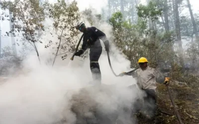 Siguen los incendios en Chubut, las llamas ya arrasaron 13.000 hectáreas y el desastre ambiental aviva la interna Milei-Villarruel