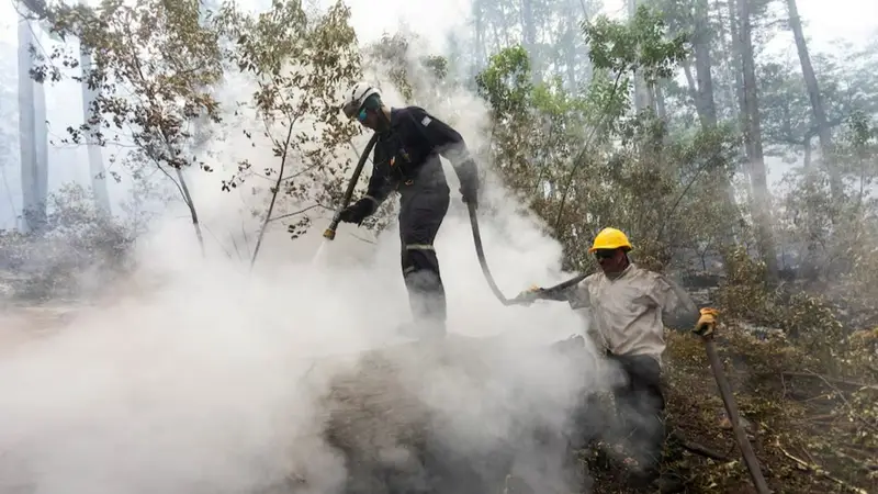 incendios-en-la-patagonia-trabajo-de-los-brigadistas-png. incendios-en-la-Patagonia-trabajo-de-los-brigadistas