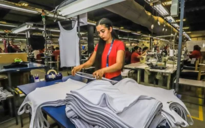 Crisis de la industria textil argentina: 7 de cada 10 máquinas están paradas y crece el riesgo de cierre