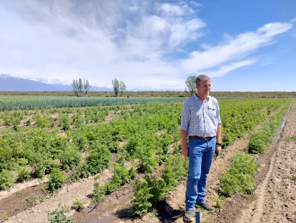Gabriel Testa, productor e integrante de la Sociedad Rural del Valle de Uco, habló con LV18 sobre la situación del sector.