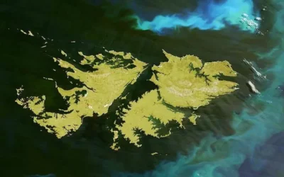 “Más humo que otra cosa”: la contundente crítica del CECIM a Milei por Malvinas