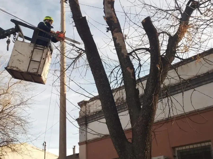 Defensa Civil con una brigada para intervenir en forestales secos y en riesgo de caída