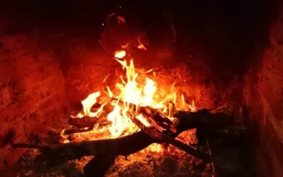 Leña en San Rafael: cuánto cuesta calefaccionar una casa en invierno y el dato que sorprende