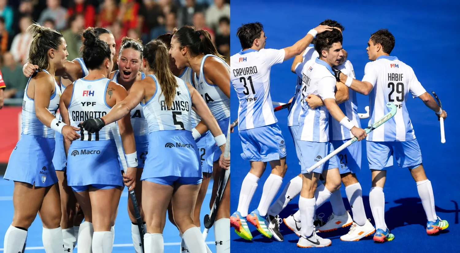 Los Leones y Las Leonas, semifinalistas