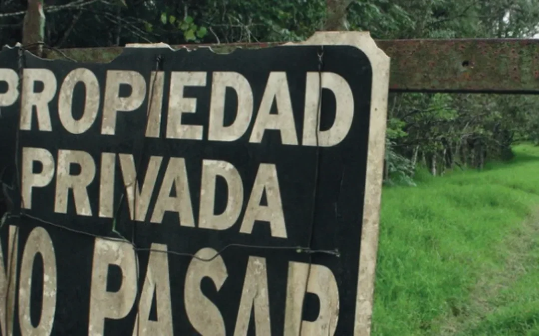 Ley de extranjerización de tierras: el informe que revela dónde avanza con más fuerza y la advertencia por los cambios que debate el Senado
