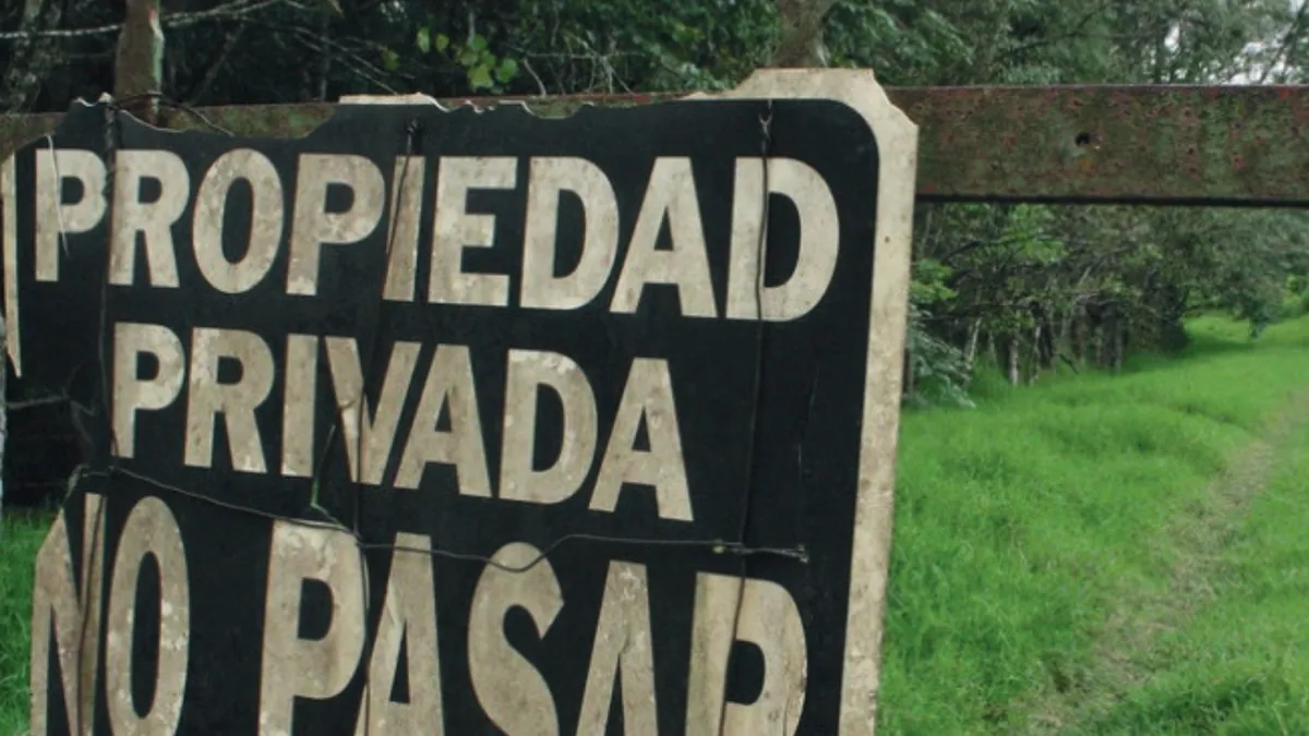 La iniciativa elimina el límite del 15% para la compra de tierras rurales por extranjeros.