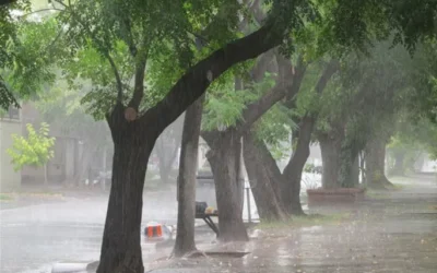 Lluvias en San Rafael: el Municipio despliega operativos y pide extremar cuidados
