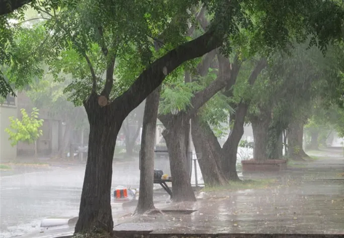 Las áreas municipales trabajan en distintos sectores de San Rafael para atender los inconvenientes provocados por las lluvias.