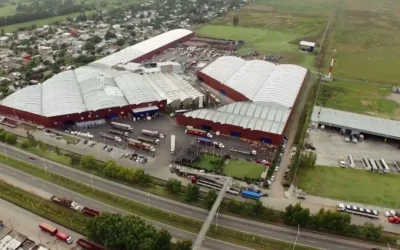 Manaos apeló la condena de $807 millones y busca que la Corte revise el fallo