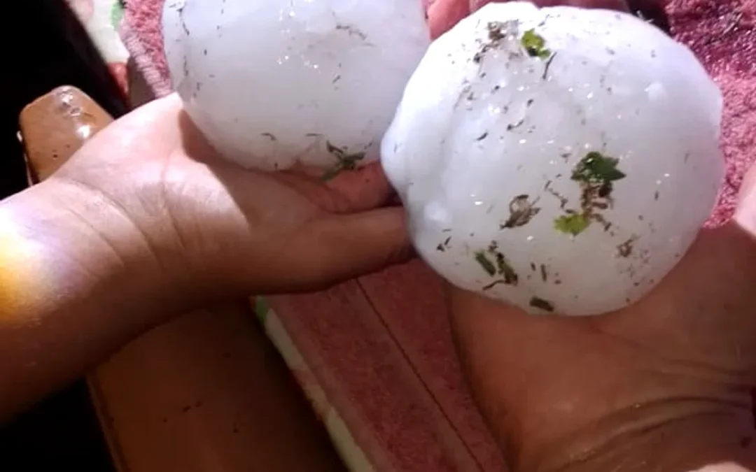 Granizo en Mendoza: un productor explicó por qué pide mantener la lucha antigranizo