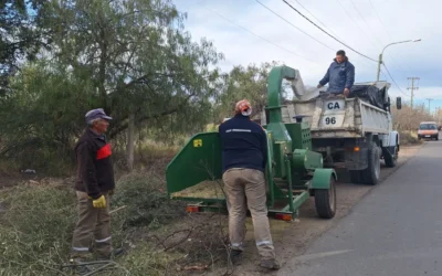 Una nueva chipeadora fortalece los operativos de limpieza en San Rafael