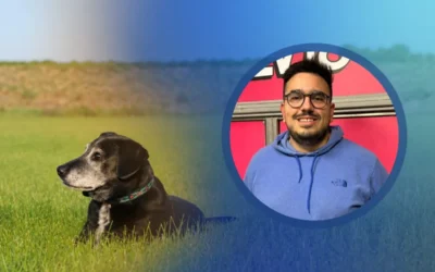 Matías Aceituno, médico veterinario: cómo cuidar a los animales gerontes durante el invierno