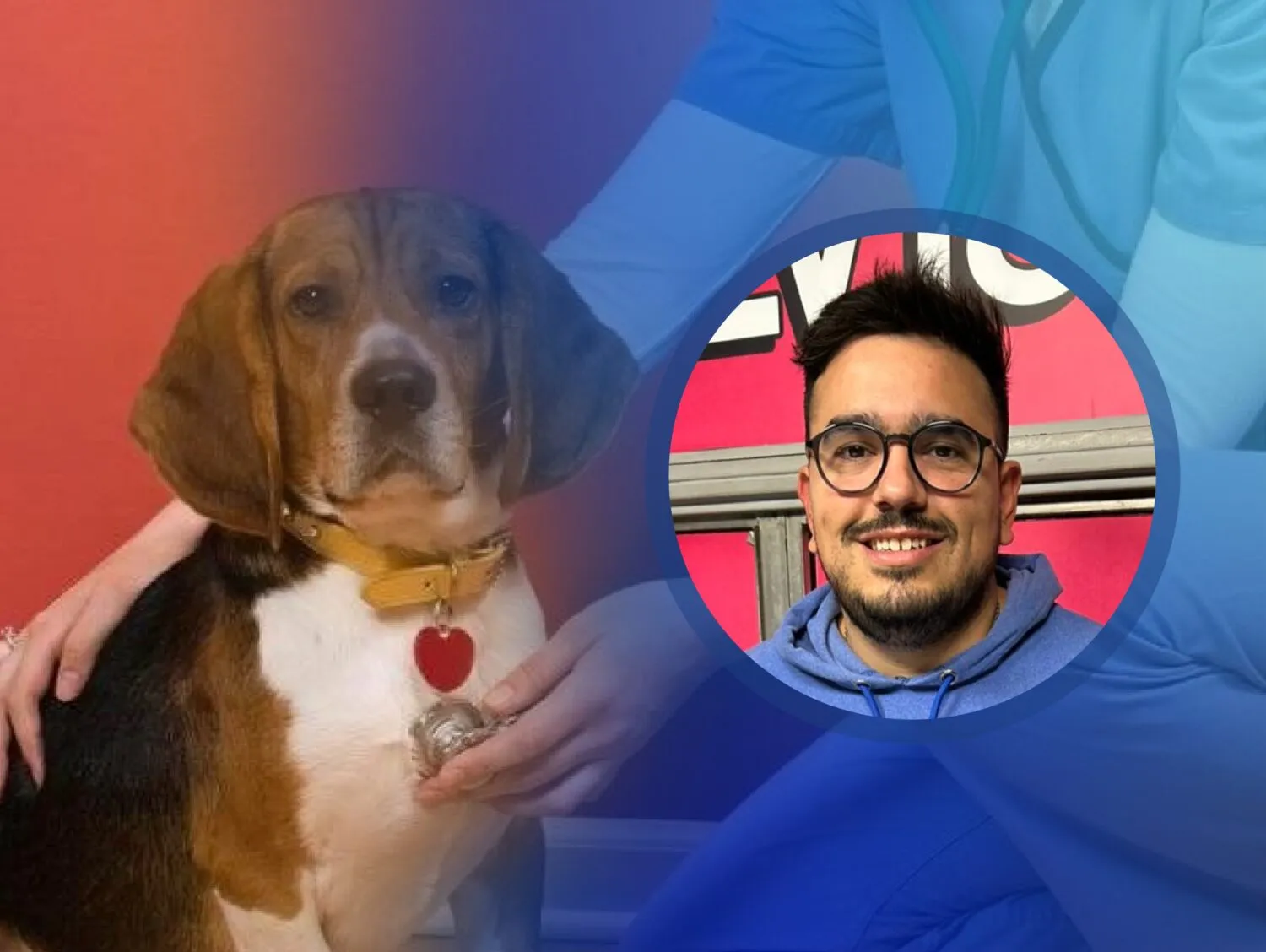 Columna veterinaria Cardiopatías en perros y gatos