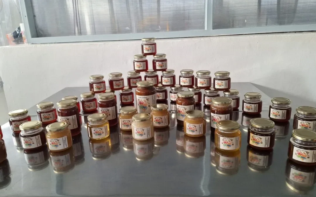 Comenzaron las pruebas de fraccionamiento en la sala municipal de Extracción de Miel