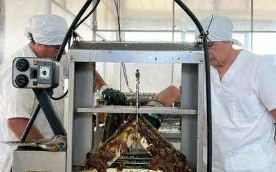 La Sala Municipal de Extracción procesó más de 31 toneladas de miel y gran parte de la producción fue exportada