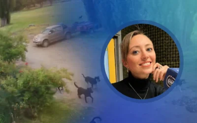 La Corte de Mendoza revocó una indemnización por el ataque de un dogo a una niña en Malargüe
