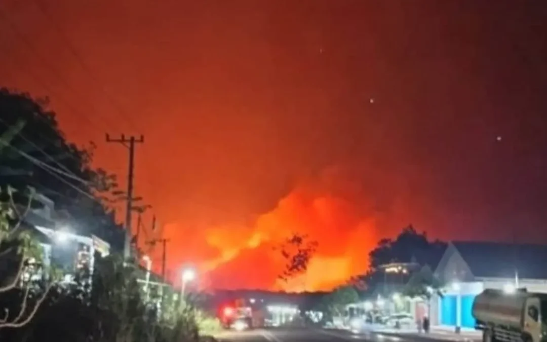 Incendios en el sudeste asiático: el humo ya afecta a millones y la contaminación se dispara