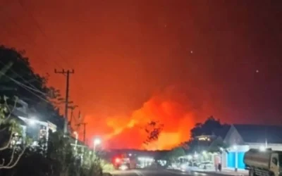 Incendios en el sudeste asiático: el humo ya afecta a millones y la contaminación se dispara