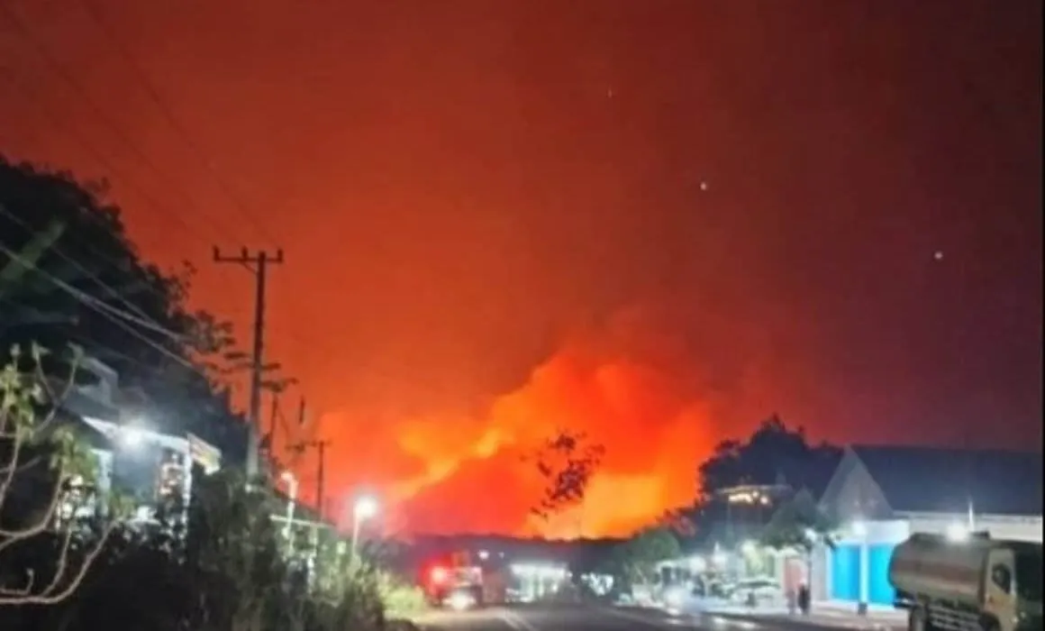 Los incendios forestales mantienen en alerta a varios países de la región. Los incendios forestales mantienen en alerta a varios países de la región.