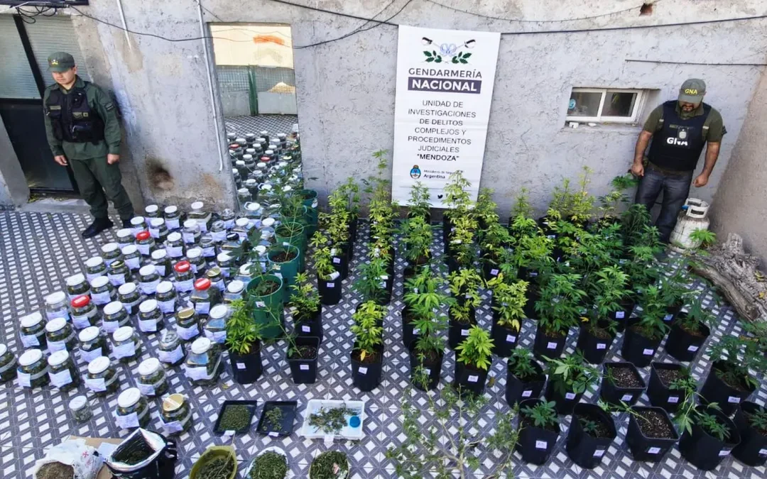 Gendarmería Nacional: 6 allanamientos y una red criminal desbaratada en Mendoza
