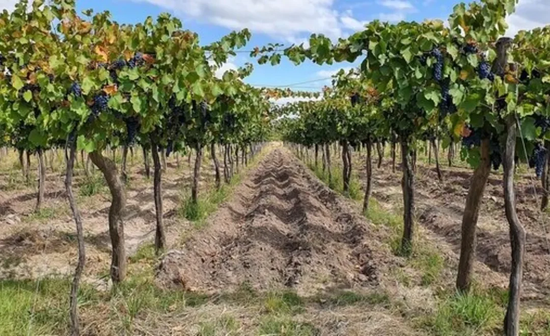 La inseguridad en distritos deja mucha tela para cortar