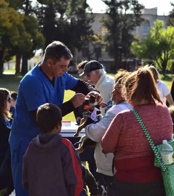Exitoso «Peludo Picnic» en el parque Yrigoyen para festejar el Día del Animal