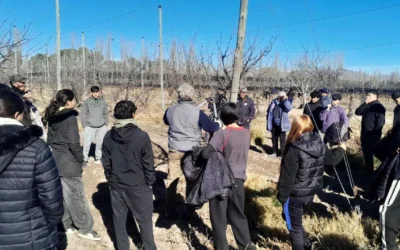 Finalizó con una amplia participación el ciclo de capacitación en poda de vid y frutales en San Rafael