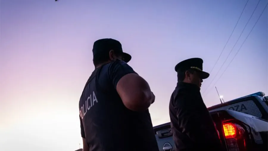 Robo en un comercio de calle Pellegrini