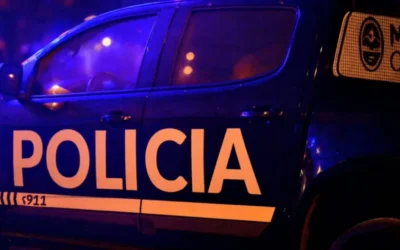 Significativo robo en un comercio de avenida Balloffet