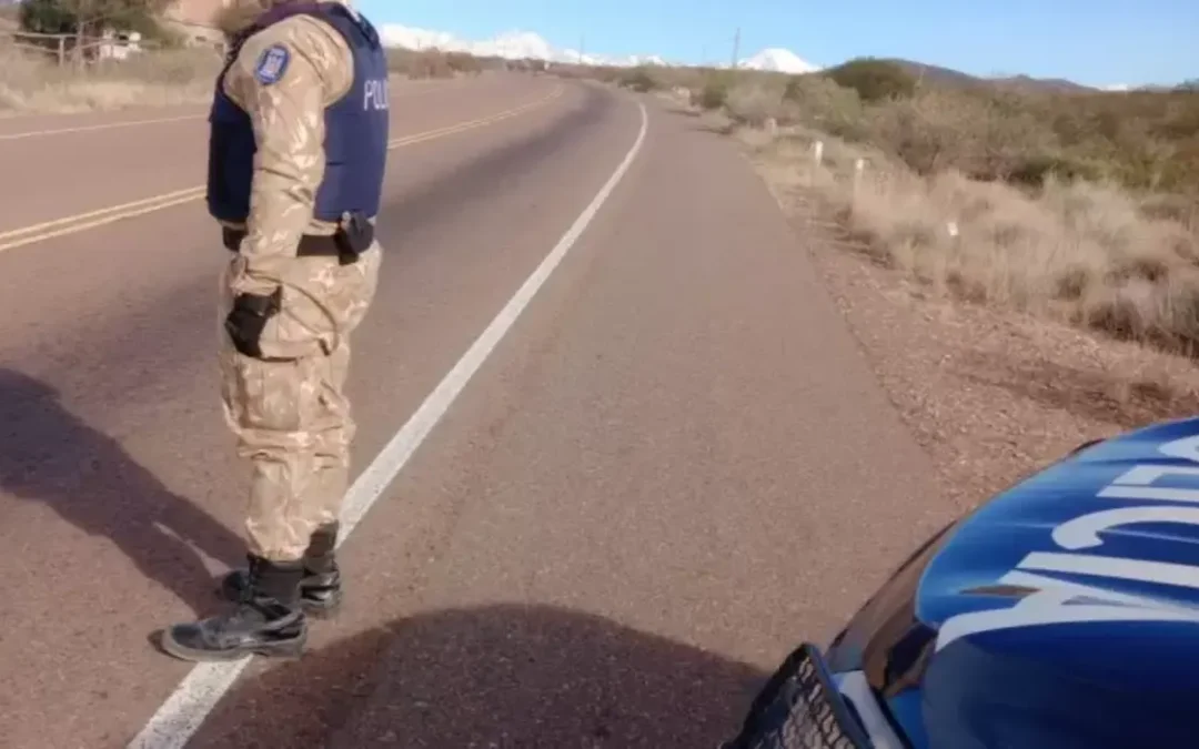 Circulaba en una Fiorino transportando carne molida, chorizos y pollo en mal estado