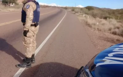 Circulaba en una Fiorino transportando carne molida, chorizos y pollo en mal estado