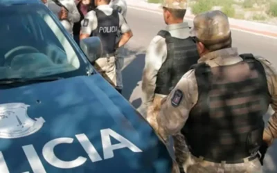 Decomisaron 200 kilos de pollo putrefacto