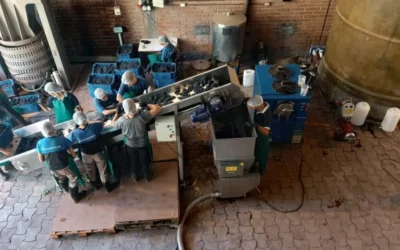 Alumnos de la Iaccarini realizan la cosecha y elaboran su tradicional vino en San Rafael