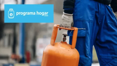 programa-hogar.