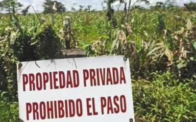 Debate en el Senado: qué cambia con el proyecto de inviolabilidad de la propiedad privada