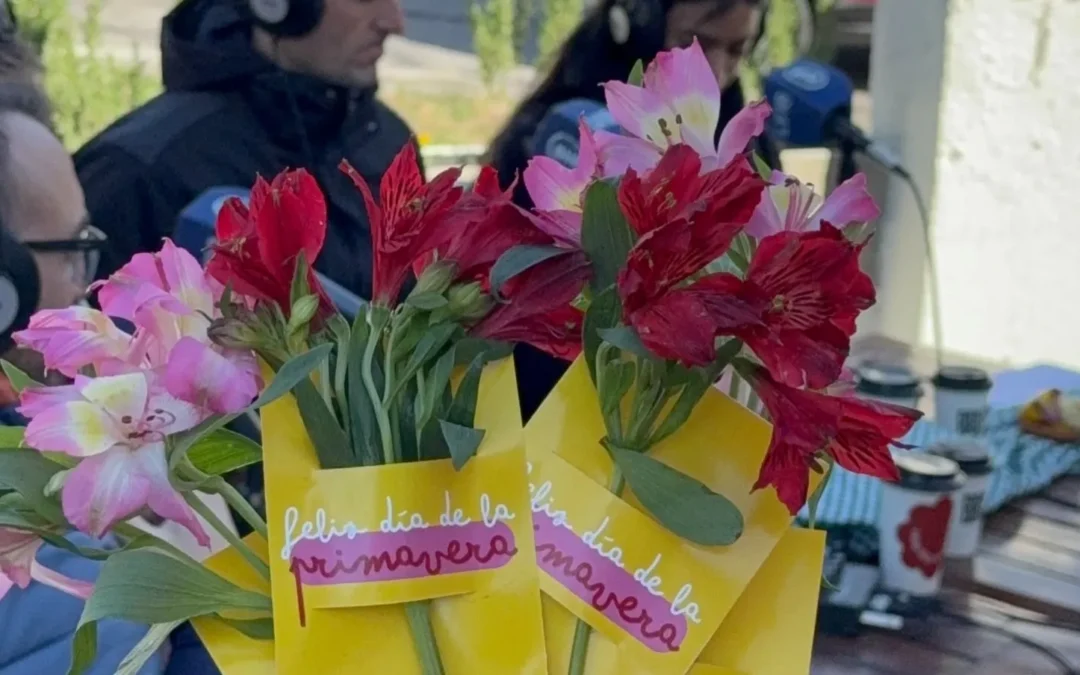Cuidado de las flores: monedas de cobre, agua tibia y un secreto para los girasoles