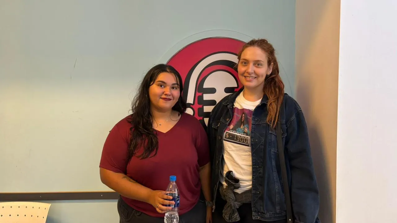 «Camino a Casa» web de gatos abandonados