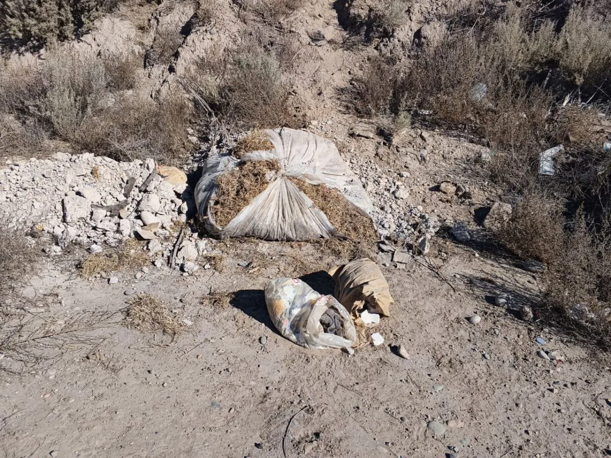 Multas por arrojar basura San Rafael