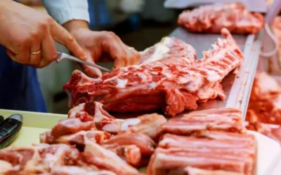 Consumo de carne vacuna: Fretes pidió “que busque opciones como el pollo” y generó polémica por los precios