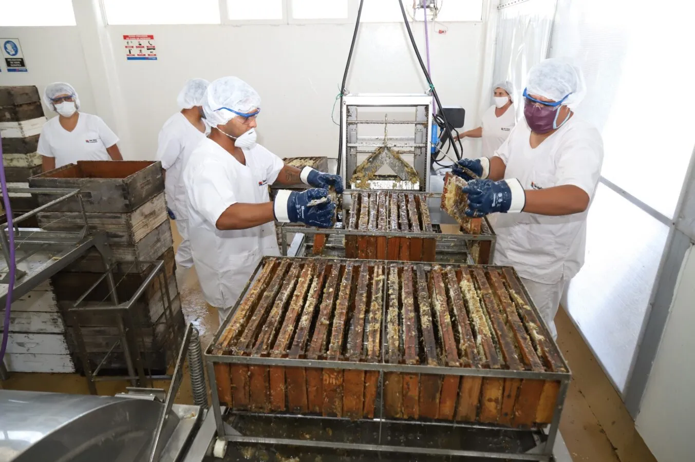 La sala de extracción de miel busca fortalecer a pequeños productores sanrafaelinos. La sala de extracción de miel busca fortalecer a pequeños productores sanrafaelinos.