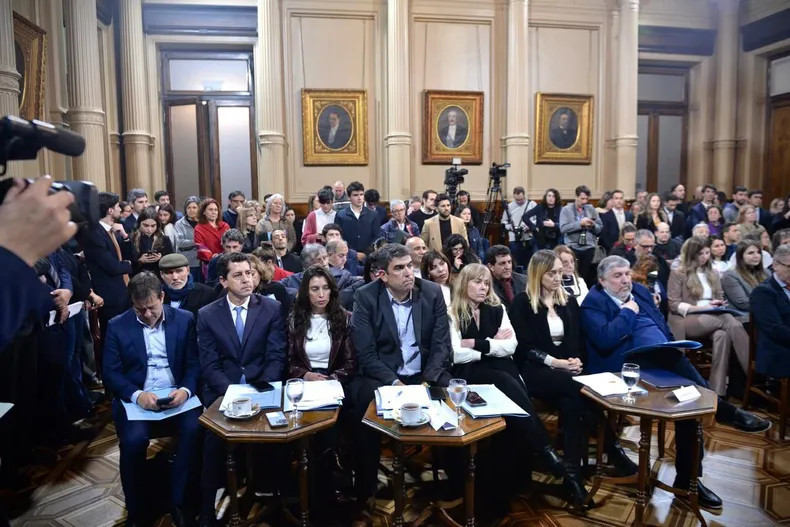 Senado: la oposición avanza con la emergencia pediátrica y la ley de financiamiento universitario