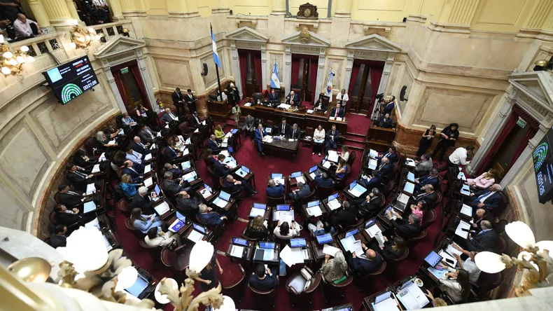 El Senado rechazó los vetos de Milei y convirtió en ley la Emergencia en Pediatría.