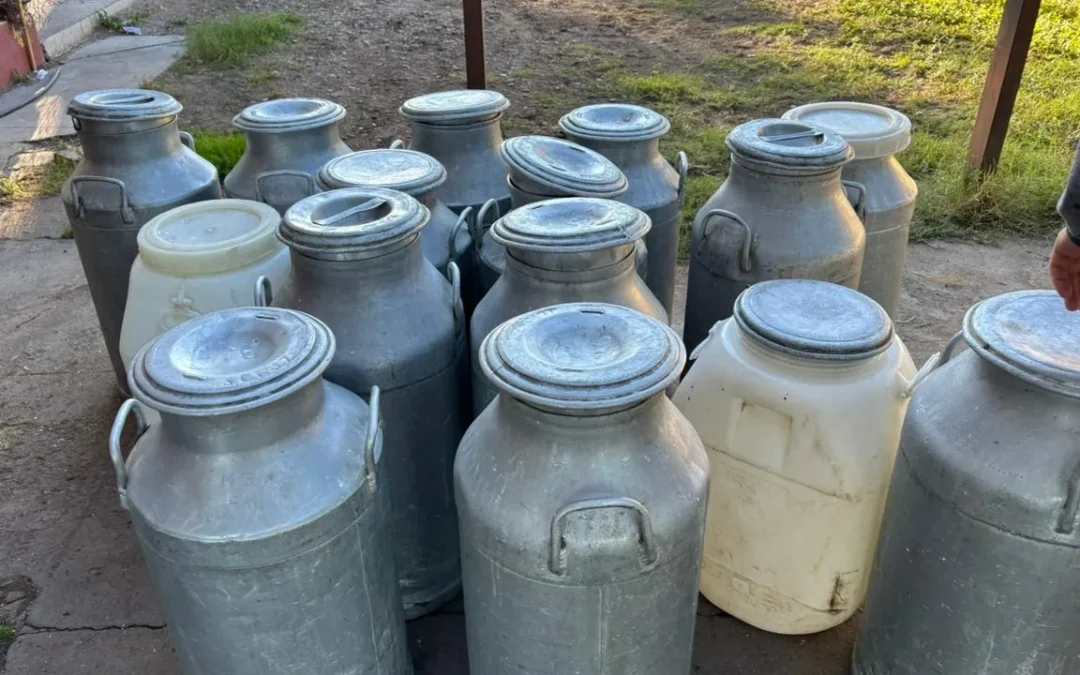 Escuela Martín Güemes: estudiantes llevan su producción a la Feria Franca y muestran el trabajo educativo en acción