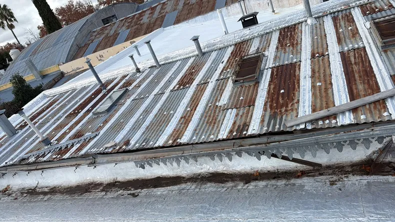 El deterioro del techo genera filtraciones y humedad en sectores clave del Instituto IRIS.