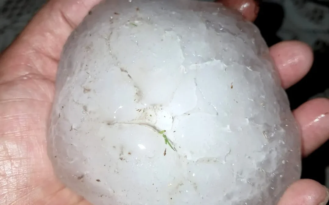 Fuerte tormenta en San Rafael: granizo gigante, caída de árboles y cortes de luz en varias zonas